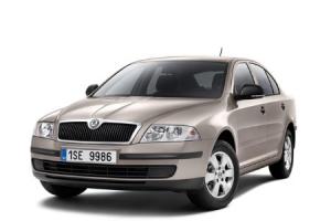 Эва-коврики на Skoda Octavia II (A5) Liftback 2004-2013