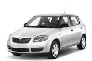 Эва-коврики на Skoda Fabia II 2007-2014