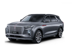 Hongqi E-HS9 I 2020-