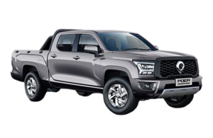 Great Wall Poer King Kong 2022-